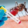 En lo que va del año se han registrado mil 386 casos de dengue y 16 de zika en Michoacán