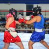 Club de Box Guerreros Morelia, listo para competencia estatal en Apatzingán