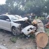 Árbol caído provoca choque y deja dos heridos en la carretera Pátzcuaro-Santa Clara