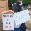 Suspensión de corridas en Morelia, exigen antitaurinos