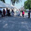 Vacúnate contra la influenza, instalan módulo en el Centro de Morelia