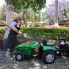 Sé guarda animal, veterinario o biólogo por un día en el zoológico de Morelia