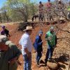 Unen esfuerzos para restaurar 50 hectáreas del área protegida cerro del Águila