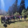 Continúan llegando turistas a santuarios de la Mariposa Monarca