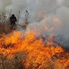 Michoacán reporta ya los primeros incendios forestales, van seis